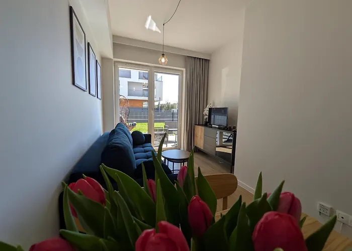 Magic - Zibi * Затор